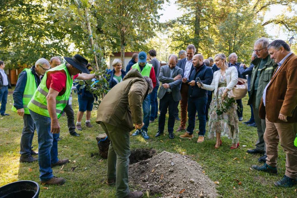 Fête du bois et de la forêt 2021