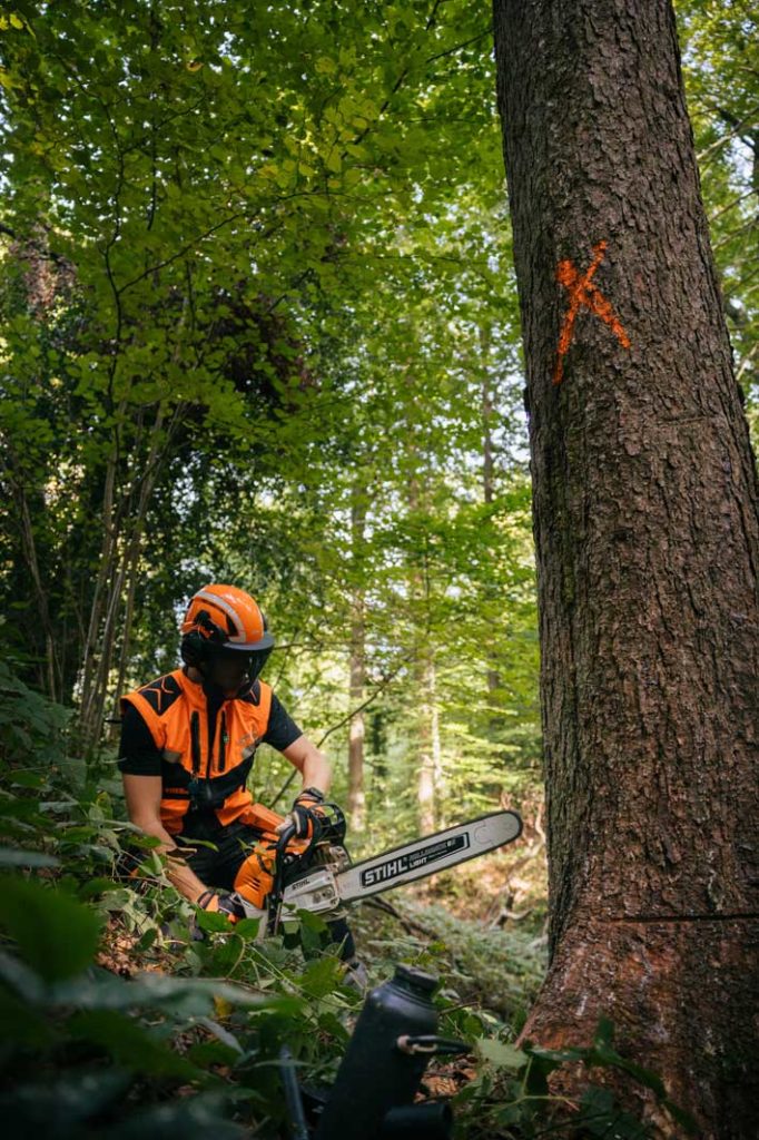 Fête du bois et de la forêt 2021