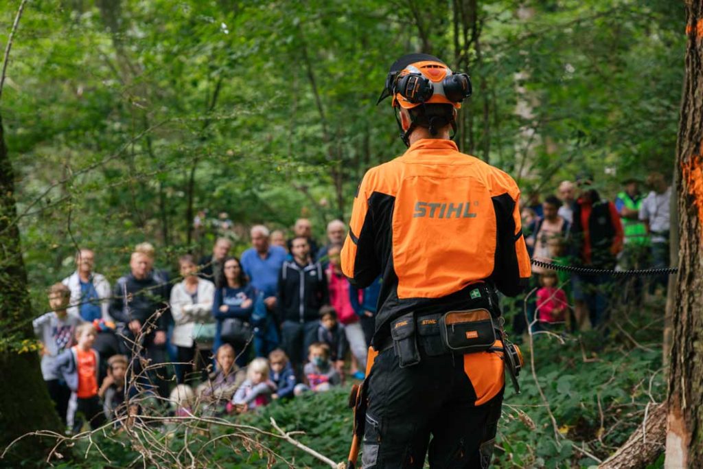 Fête du bois et de la forêt 2021