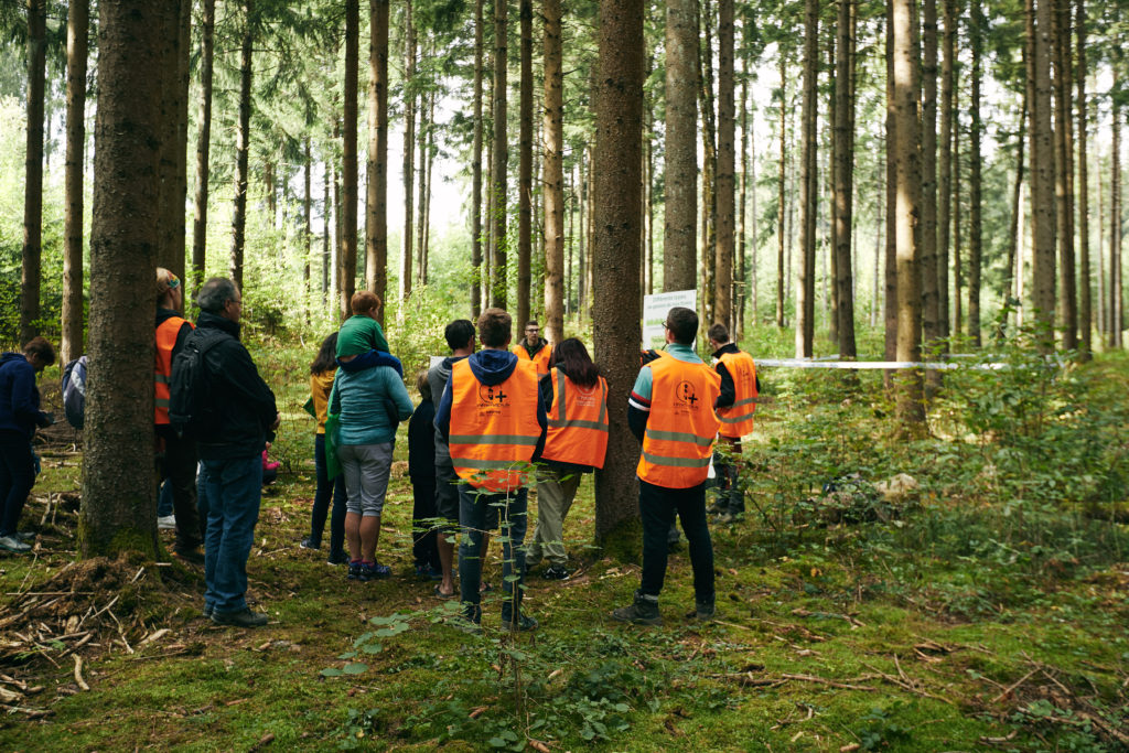 Fête du bois et de la forêt 2018