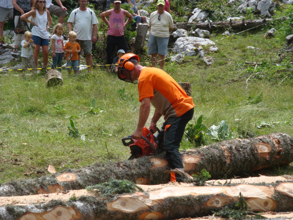 fête de la foret 2009