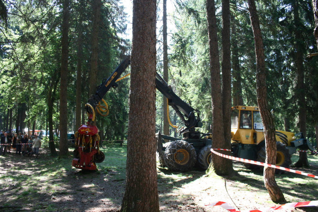 Fête de la forêt 2011