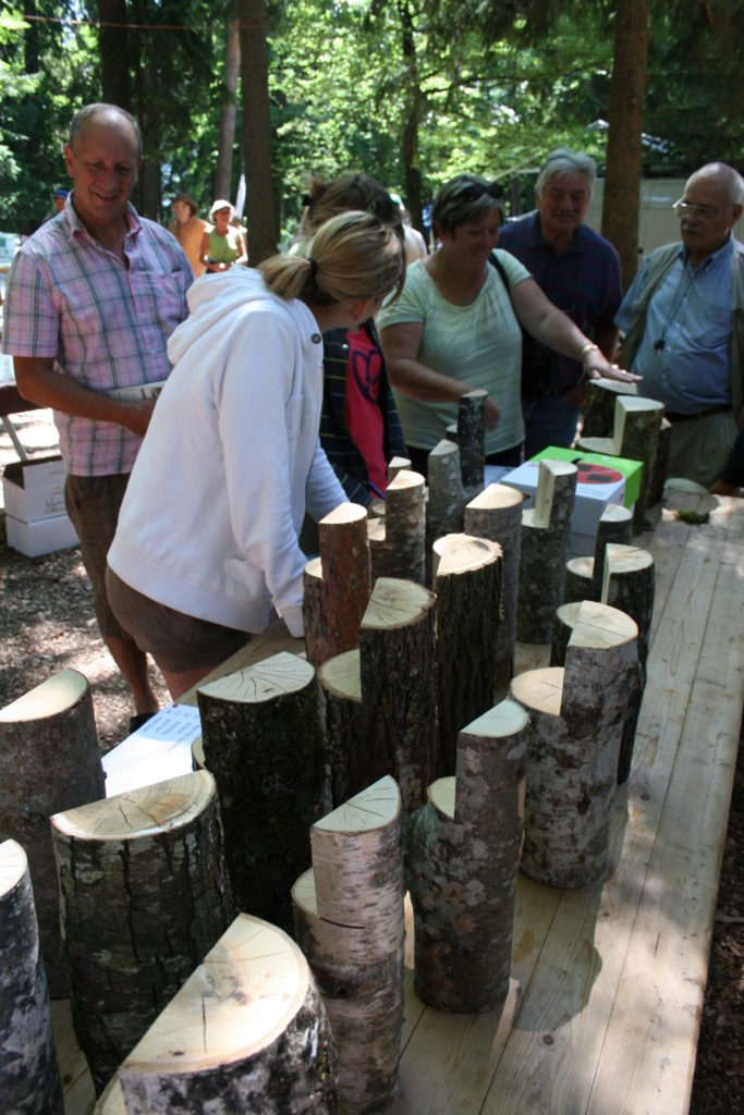 Fête de la forêt 2011