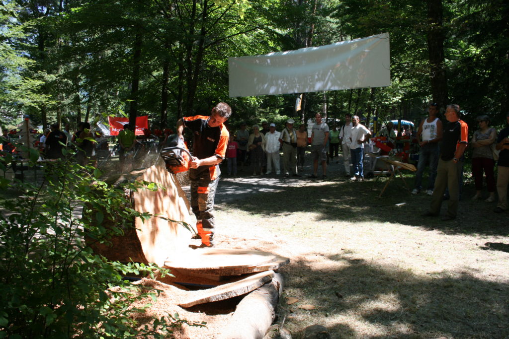 Fête de la forêt 2011