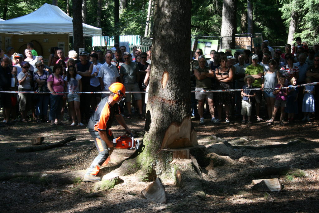 Fête de la forêt 2011