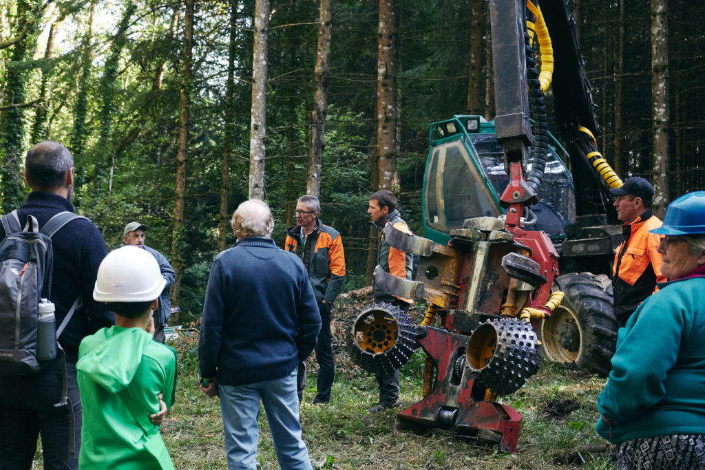 Fête du bois et de la forêt 2018