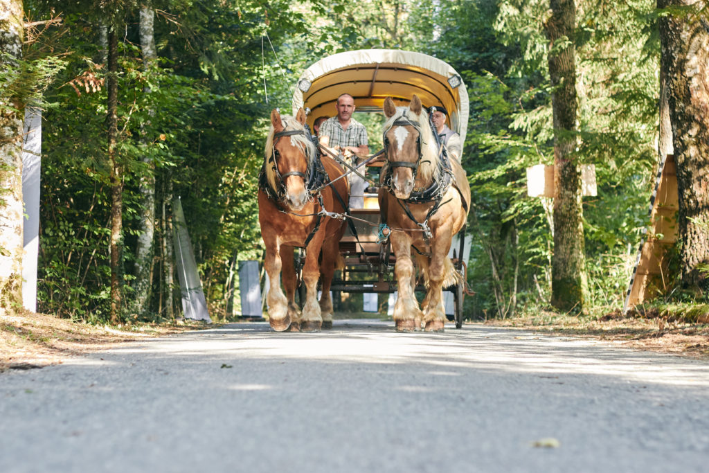 Fête du bois et de la forêt 2018