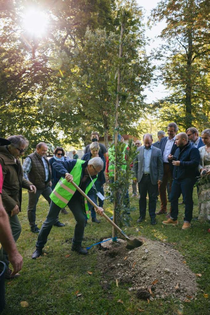 Fête du bois et de la forêt 2021