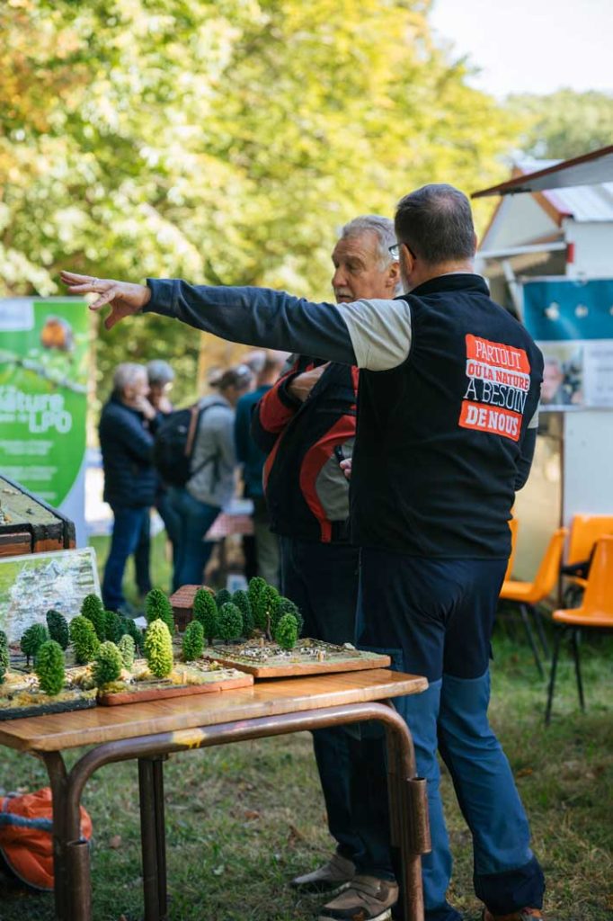 Fête du bois et de la forêt 2021