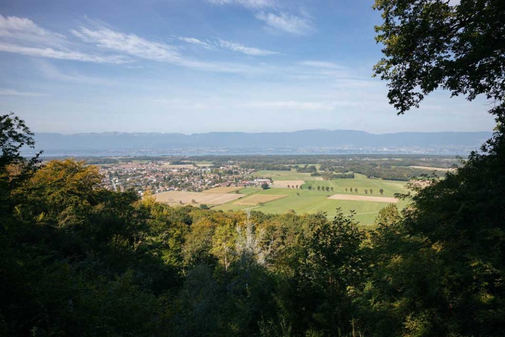 Fête du bois et de la forêt 2021