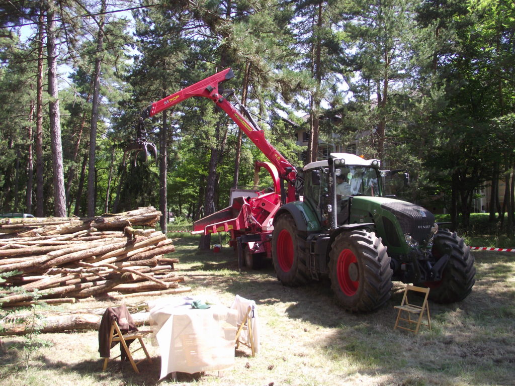 Fête de la forêt 2011