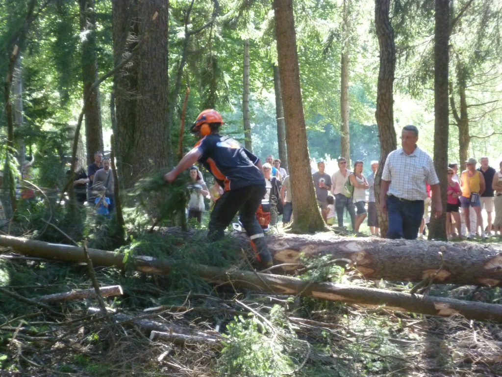 Fête de la forêt 2011