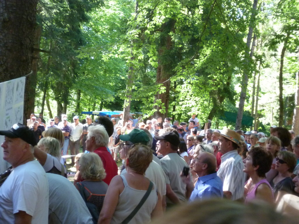 Fête de la forêt 2011